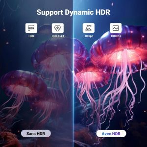 Cáp DisplayPort 8K Ugreen DP120