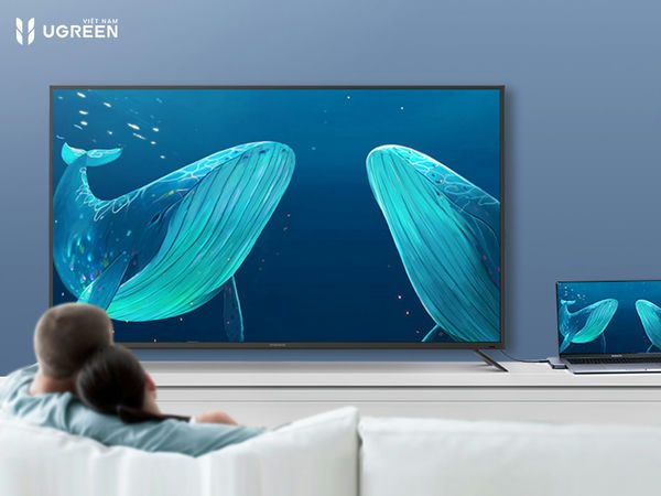 Hub chuyển đổi chính hãng