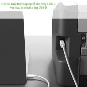 Cáp máy chuyển USB-C sang máy in Ugreen US241 8 Cáp máy chuyển USB-C sang máy in Ugreen US241