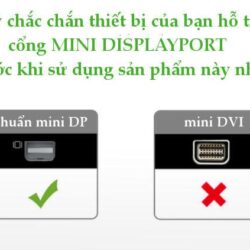 Dây cáp chuyển đổi mini DisplayPort đực sang mini DisplayPort đực UGREEN MD111